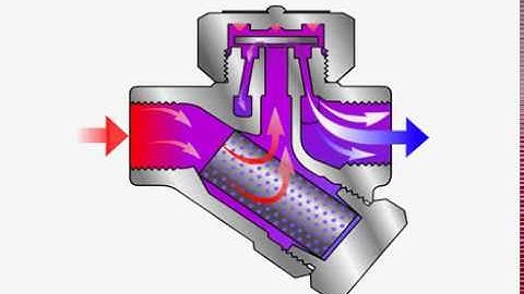 Steam Trap - Thermodynamic - How it Works