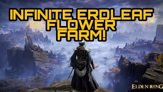 ELDEN RING - INFINITE ERDLEAF FLOWER FARM - EARLY GAME!