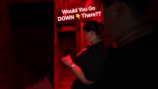 Nothing Good Is Down There 😳 The Cellar of Graystone Scream Park #hauntedhouse #scarecam #fright