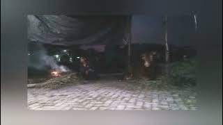 Jika Kau Mengerti || Power Slaves
