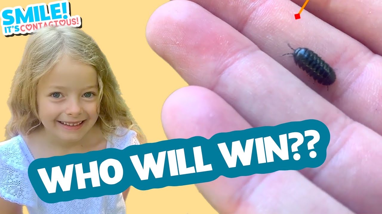 HOW TO CATCH BEE, DRAGONFLY, BUTTERFLY. POTATO BUG or ROL POLY? BUG HUNT | Smile It's Contagious