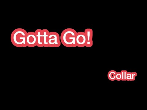 Gotta Go! Collar 歌詞mv