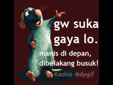 Tikus paramuda