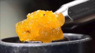 Man Goes Retarded After First Cannabis Oil Dab! (VOMIT ALERT)