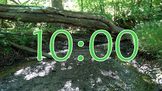 10 Minute Nature Timer with Alarm  Countdown with Relaxing Birdsong Sounds  Secluded Forest Spot