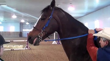 Arbor Hill After -Transition