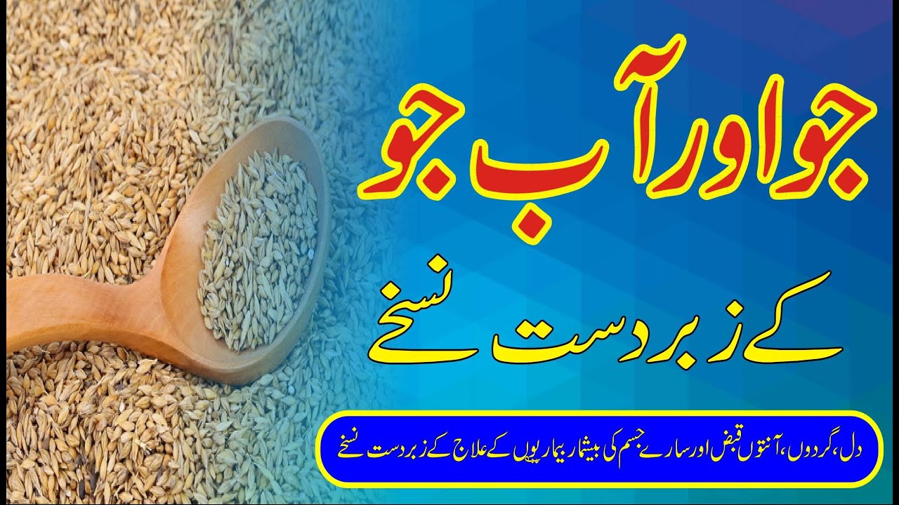 Barley benefits barley water barley vitamins barley nutrition