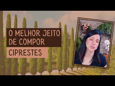 Vídeo: Os ciprestes têm flores?