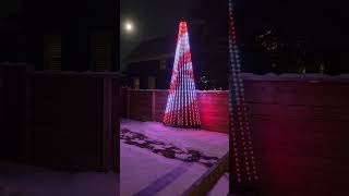 Mega tree 2022
