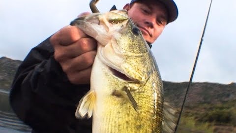 500 Bass a Day Keeps the Stress Away: Lake Barrett