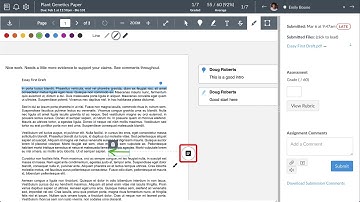 Canvas DocViewer Overview