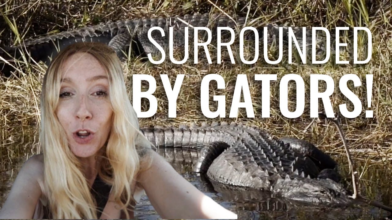 Alligator Alley has NOTHING on This SECRET Road! Van Life in The Everglades, Florida
