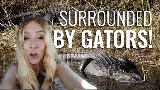 Alligator Alley has NOTHING on This SECRET Road! Van Life in The Everglades, Florida