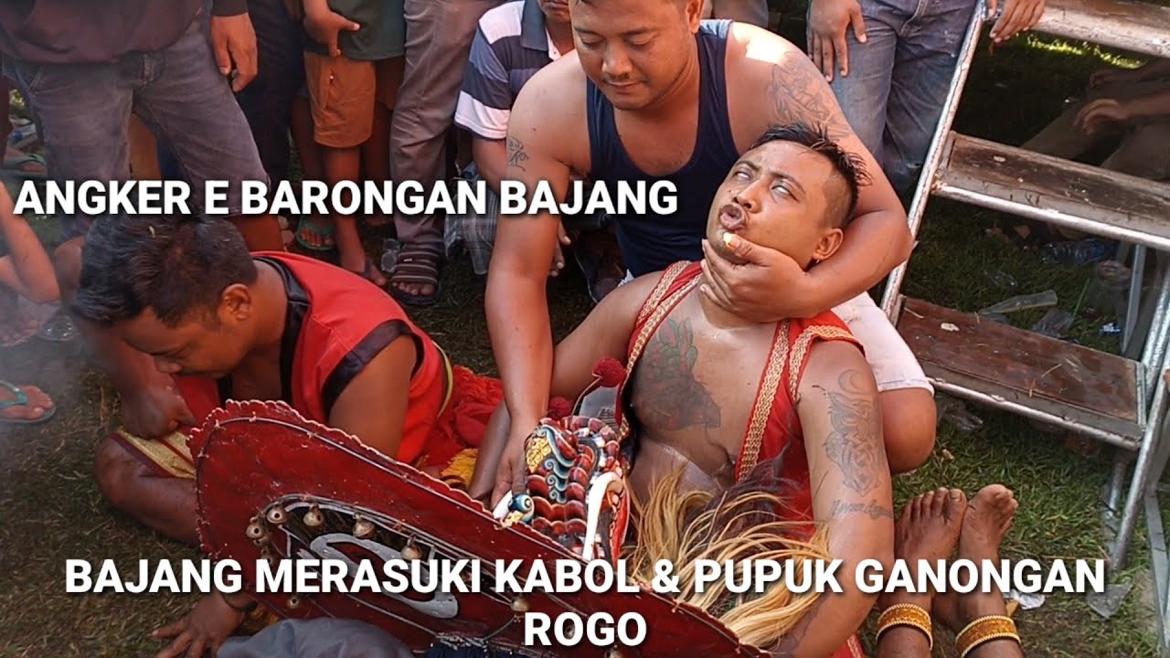 ANGKER E BARONGAN BAJANG‼️BAJANG MERASUKI KABOL DAN PUPUK GANONGAN SAMPAI SULIT DI SEMBUHKAN