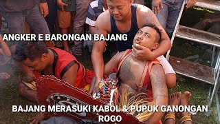 ANGKER E BARONGAN BAJANG‼️BAJANG MERASUKI KABOL DAN PUPUK GANONGAN SAMPAI SULIT DI SEMBUHKAN