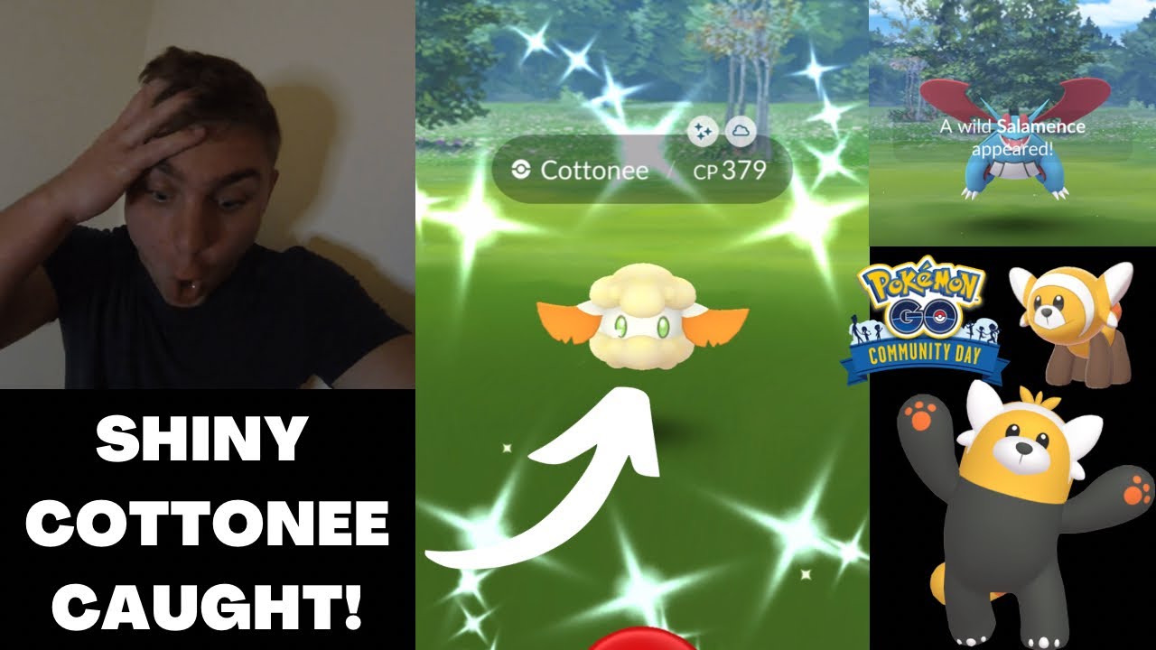 Shiny Cottonee Caught ✨! (Pokemon Go Lush Jungle Event)