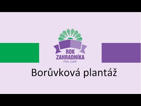 Video: Borůvkové Bobule: Výhody A Poškození, Kontraindikace