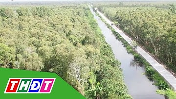 Cà Mau có hơn 36.000 ha rừng nguy cơ xảy ra cháy | THDT