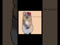#quokka #cute #smile #bow #ribbon