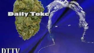 Daily Toke on Voicing Your Opinion