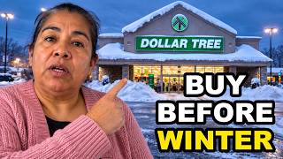 10 Dollar Tree Items Mexican Households Buy Before Winter (And 5 They Never Touch) screenshot 2