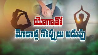 యోగాతో మోకాళ్ల నొప్పులు అదుపు | Managing Knee Pain With Yoga | Sukhibhava | Etv Life