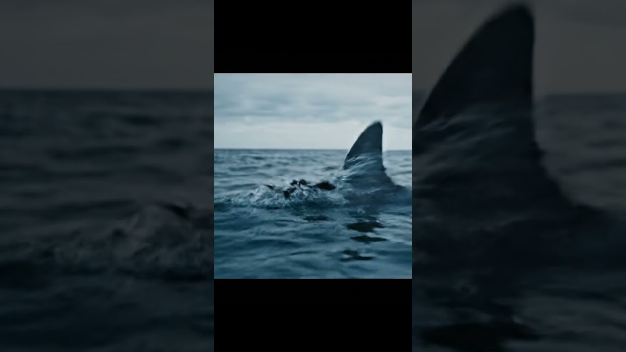 Something’s not right with this duck... 🦆🌊 