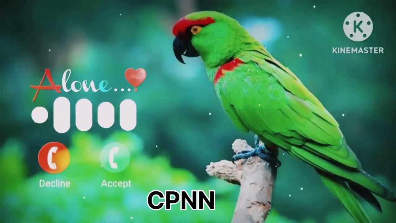 Message Ringtone Notification Ringtone//SMS Ringtone Mgs Ringtone 