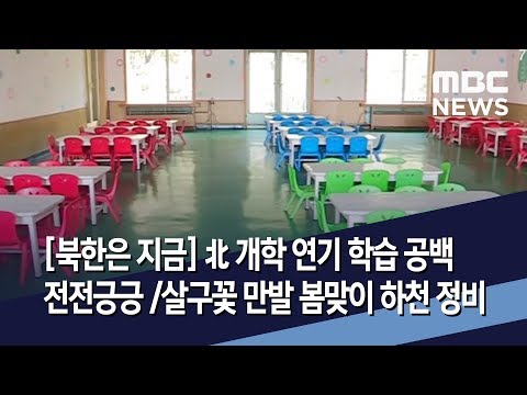 북한은 지금 北 개학 연기 학습 공백 전전긍긍 살구꽃 만발 봄맞이 하천 정비 / MBC 통일전망대 (2020년 4월 4일)