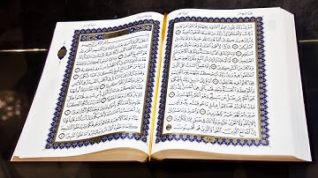 سورة الكافرون -  صلاح الجمل