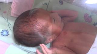 20121222 [0M13D] 小龍包在保溫箱裡也是活力十足!