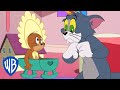 Tom & Jerry | Jerry is Adopted | @WB Kids