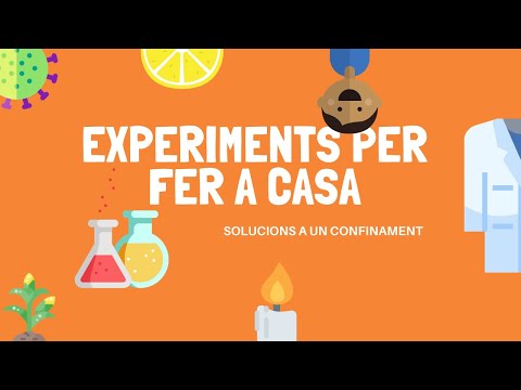Vídeo: Com fer experiments divertits a casa (amb imatges)