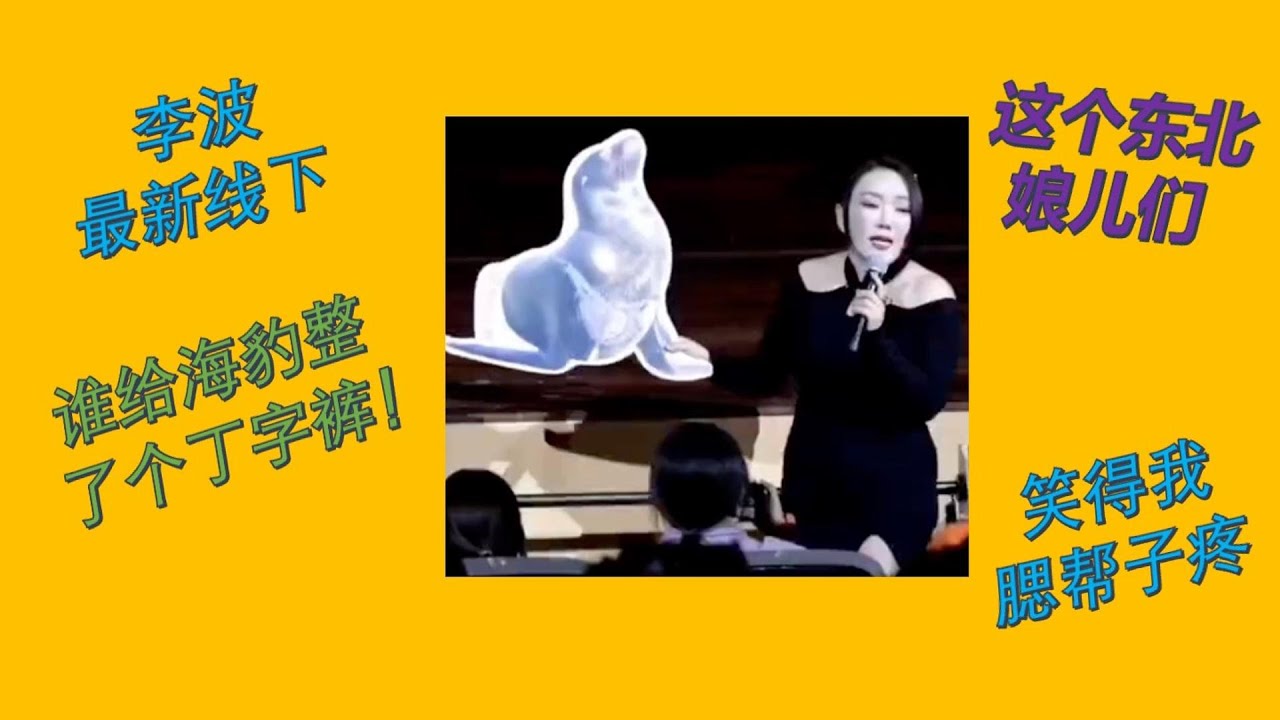 【脱口秀 线下】李波2023最新小剧场演出 你们为啥给海豹弄了个丁字裤 这个东北娘儿们笑得我腮帮子疼#波波 #千万粉丝女演员#脱口秀 #李波 ...