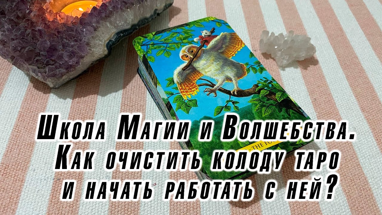 Школа таро альвиен карина