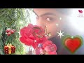 Good morning whatsapp status《 LOVELY SARITA SINGH CREATION》 Whatsapp Status Video Download Free