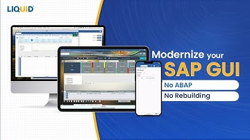 Modernize Your SAP GUI with Liquid UI | No ABAP | No Code