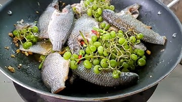 HƯỚNG DẪN CÁCH KHO CÁ TRÁI GIÁC, MÓN NÀY CHỈ CÓ Ở MIỀN TÂY SÔNG NƯỚC