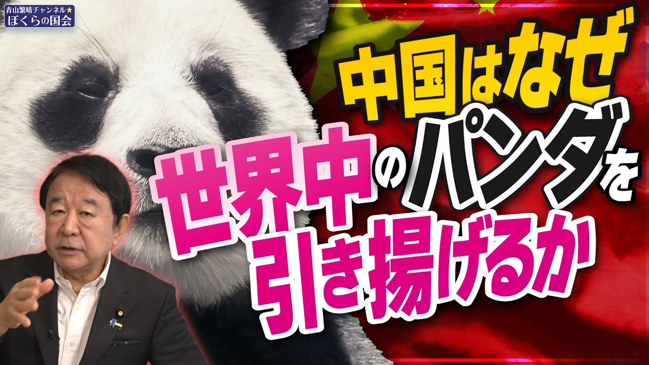 ぼくらの国会・第948回】ニュースの尻尾「中国はなぜ世界中のパンダを