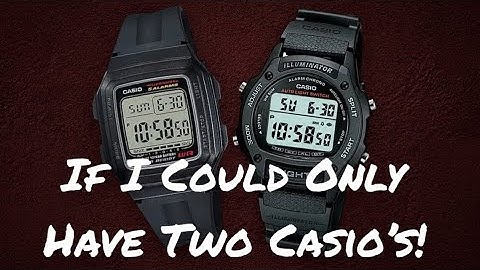 If I Could Only Have Two Casio’s. I Would Recommend These.