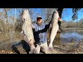 We filled a cooler with huge catfish catch clean cook