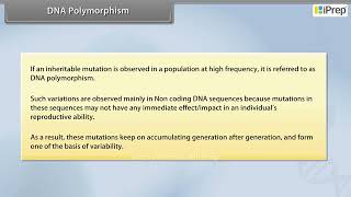 DNA Polymorphism | Molecular Basis of Inheritance | Biology | Class 12th | iPrep