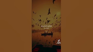 القرآن الكريم راحة نفسية بصوت القارئ عبدالرحمن مسعد سورة العنكبوت 🎧🤍