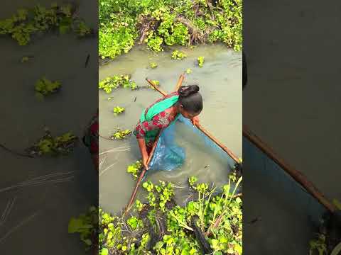 Fishing in village #shorts