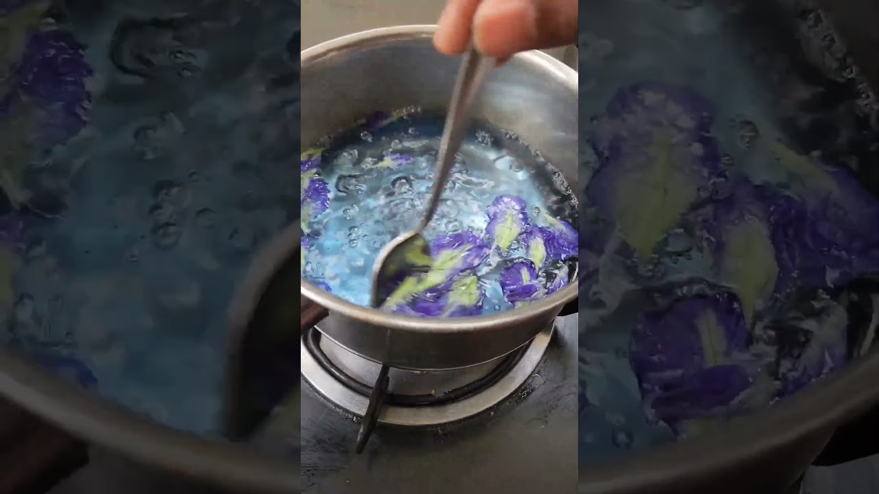 Purple Tea for Your Immunity 