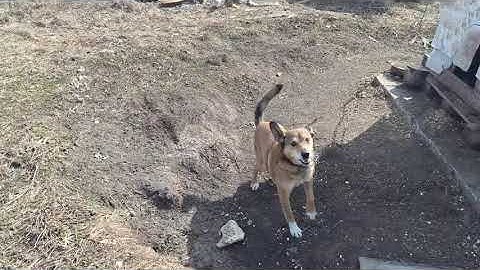 The Seasons | Music | Clips