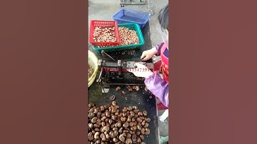 Manual Cashew Nut Processing Machine | Cashew Nut Shelling Machine | Cashew Nut Sheller Machine