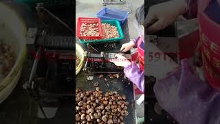 Manual Cashew Nut Processing Machine  Cashew Nut Shelling Machine  Cashew Nut Sheller Machine
