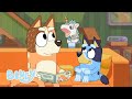 Monsieur licorne  pisode complet  bluey franais chane officielle