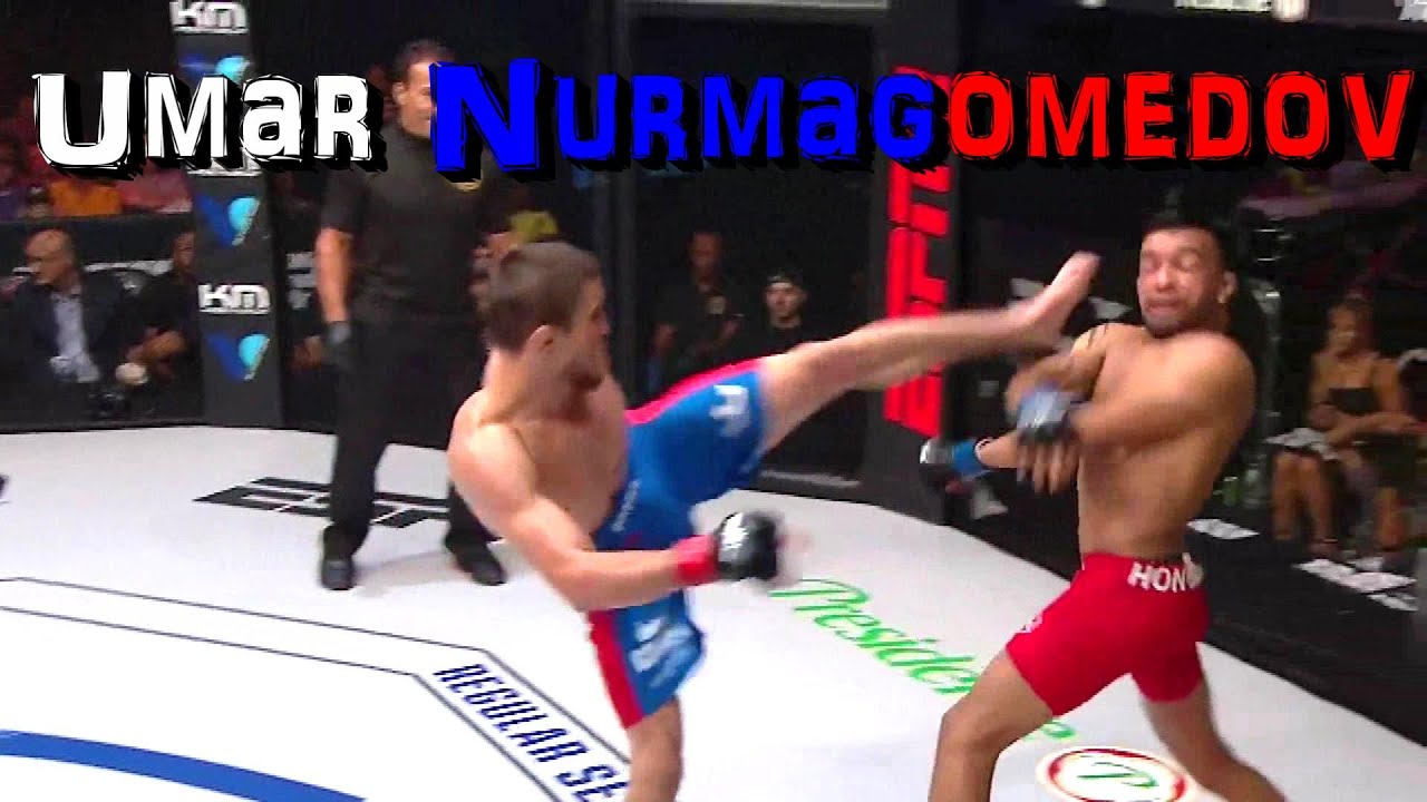 Umar Nurmagomedov Highlights 2021 HD